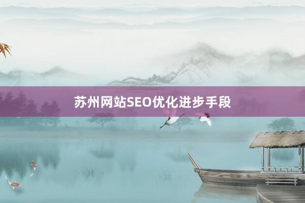 苏州网站SEO优化进步手段